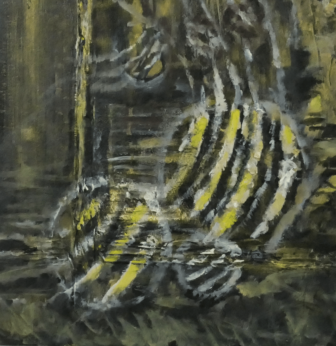 Patterns of Nature Collection - Bunter Fine Art
