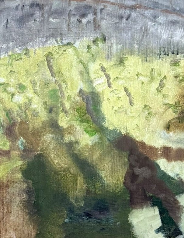 Schichtungen - Creux du Van